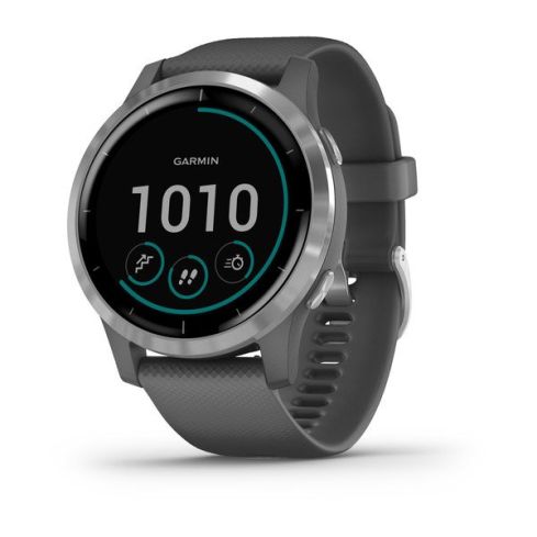 Garmin Vívoactive 4 45mm Shadow Grey With Silver Hardware