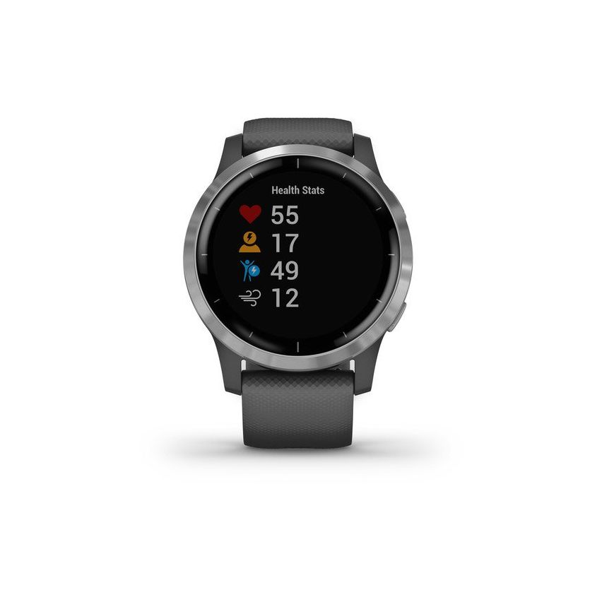 Garmin Vívoactive 4 45mm Shadow Grey With Silver Hardware