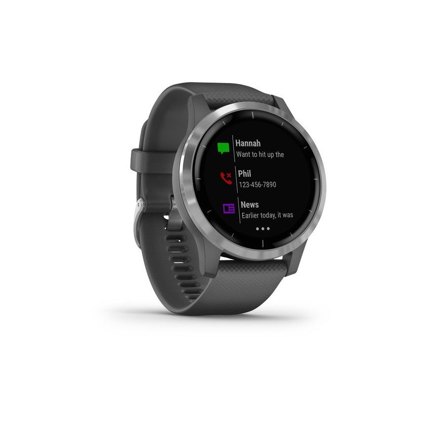 Garmin Vívoactive 4 45mm Shadow Grey With Silver Hardware