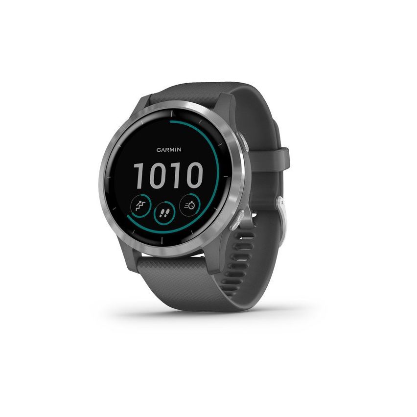 Garmin Vívoactive 4 45mm Shadow Grey With Silver Hardware