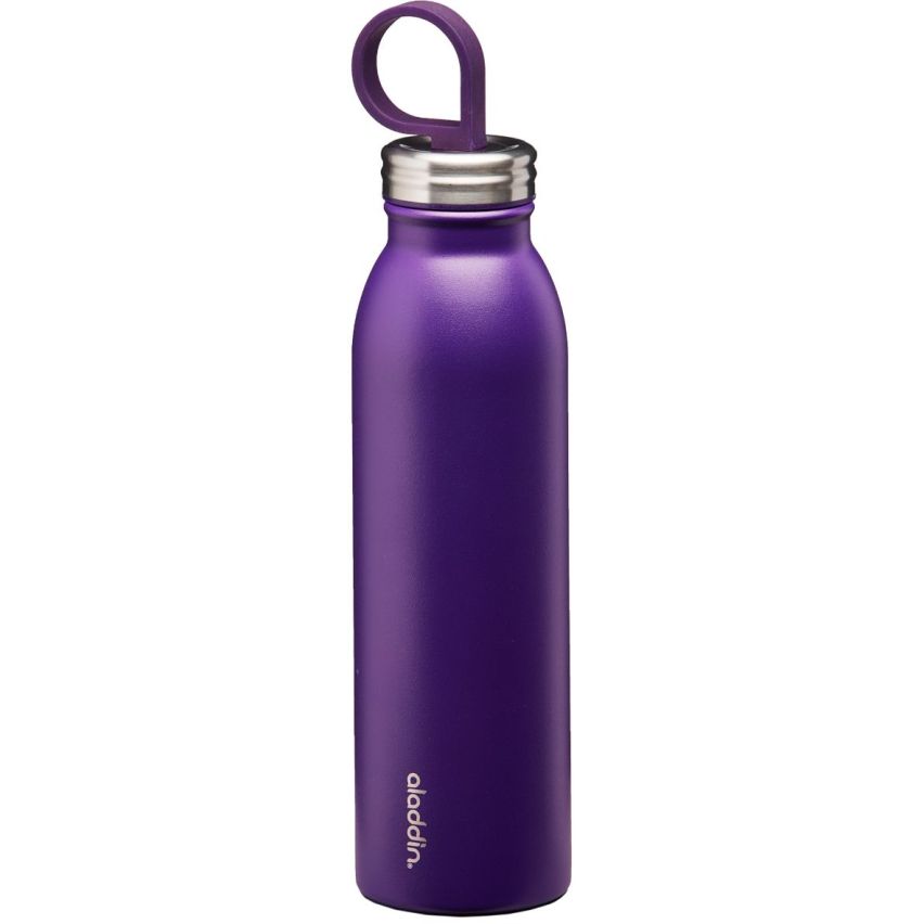 Aladdin Chilled Thermavac Stainless Steel Water Bottle 0.55L