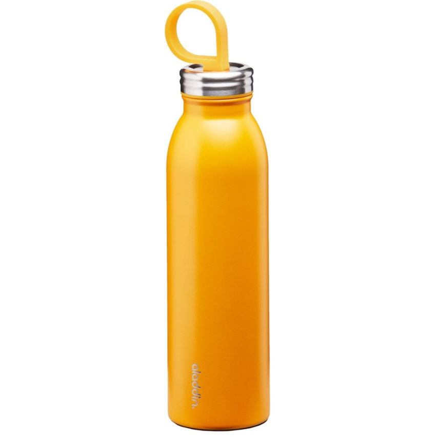 Aladdin Chilled Thermavac Stainless Steel Water Bottle 0.55L