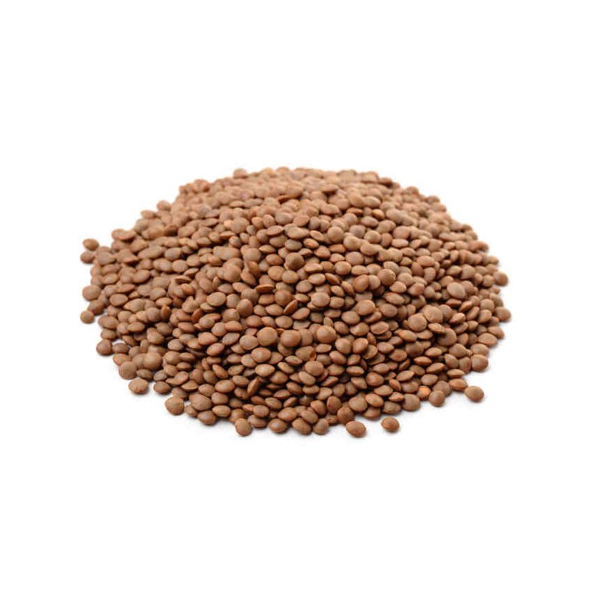 Meadows Brown Lentil Seeds