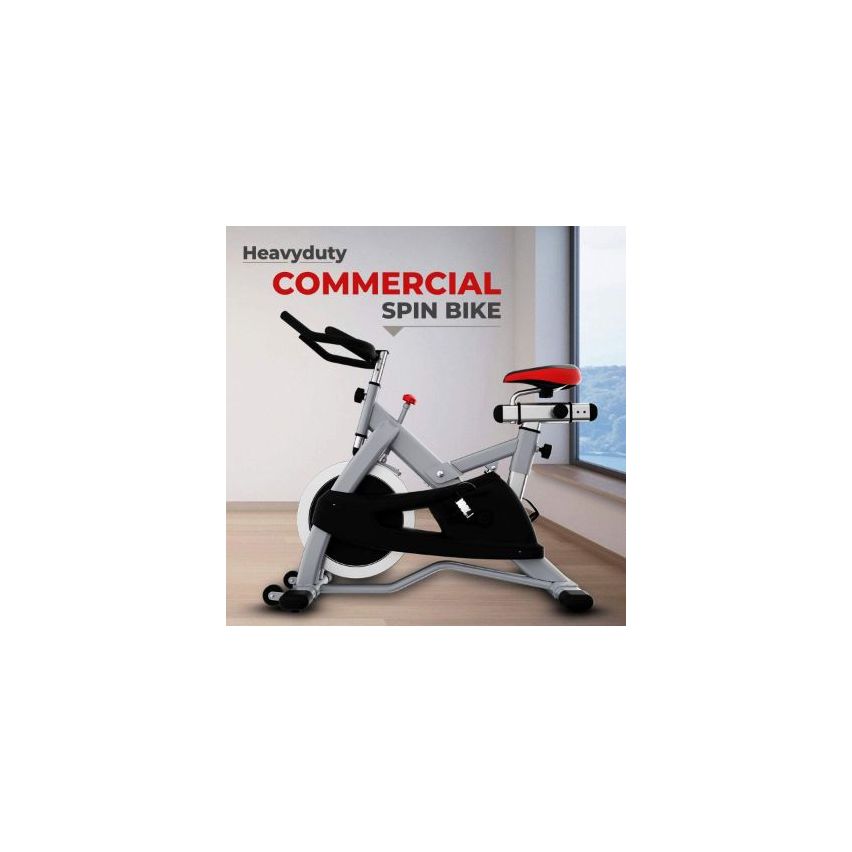 Sparnod Fitness SSB-122 / WNQ-318M2 Commercial Grade Spin Bike / Exercise Cycle