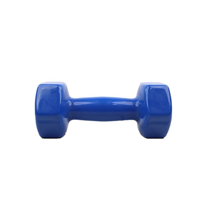 Gym Vinyl Cast Iron Mini Dumbbell For Women / Kids - 1 Piece