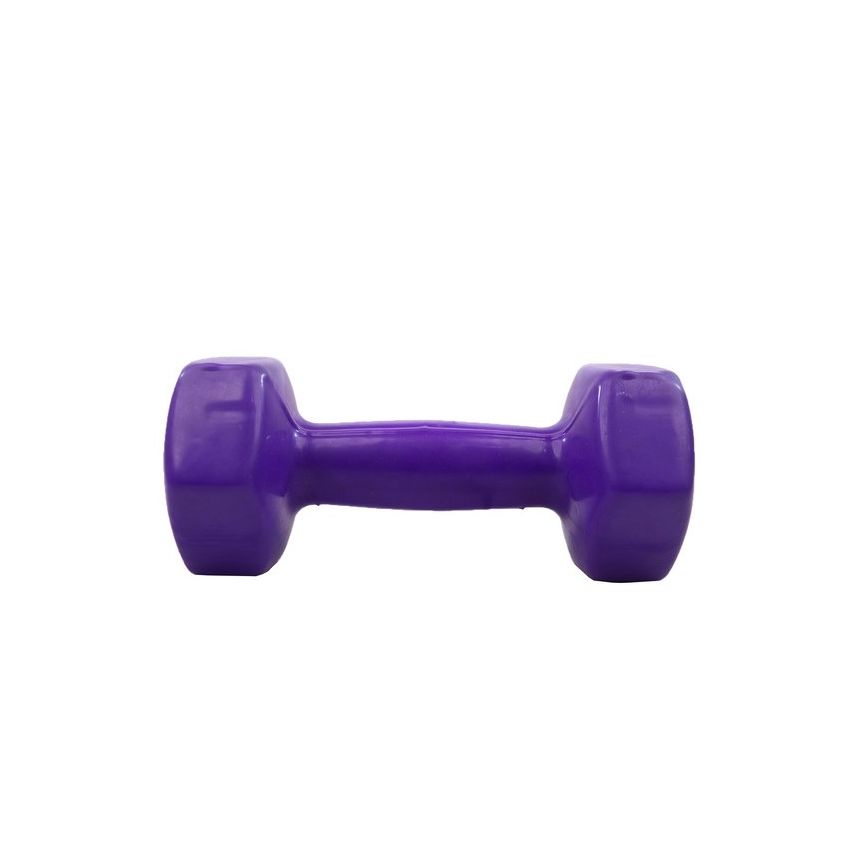 Gym Vinyl Cast Iron Mini Dumbbell For Women / Kids - 1 Piece