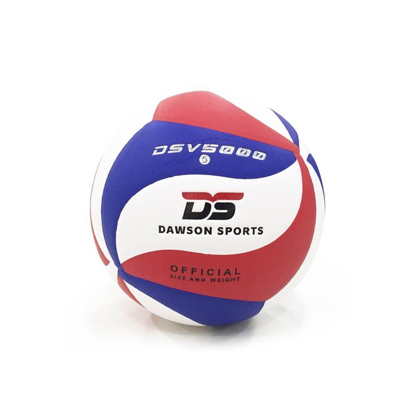 Dawson Sports 5000 Volleyball - Size 5