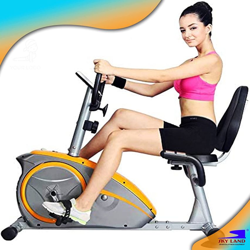 Skyland Magnetic Recumbent Bike