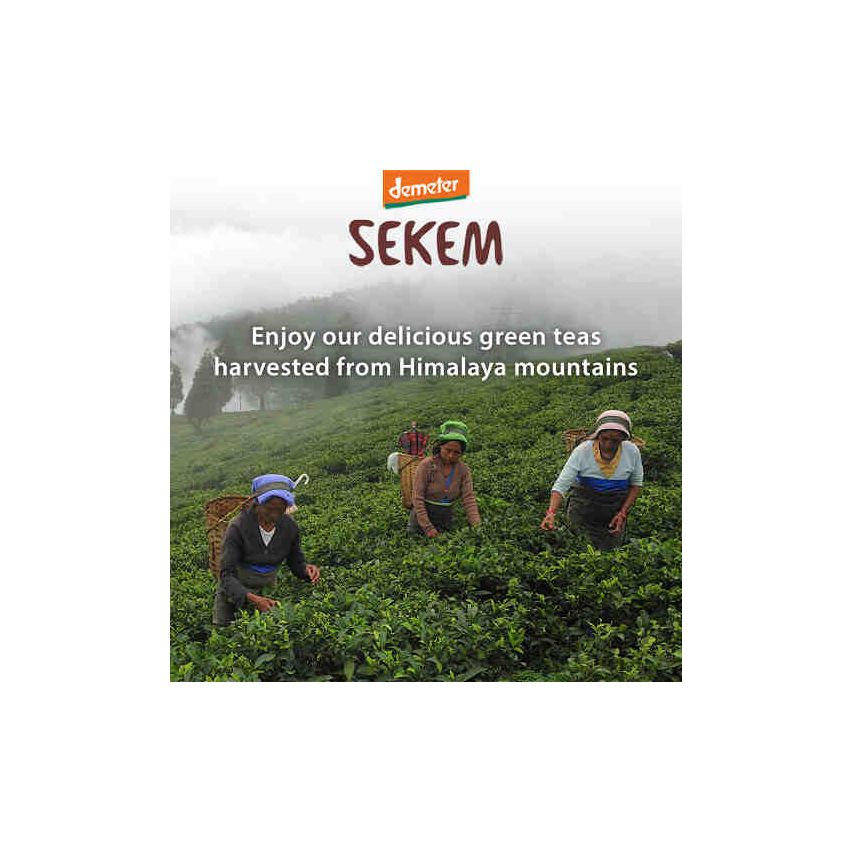 Sekem Organic Green Tea With Mint 25 Envelopes