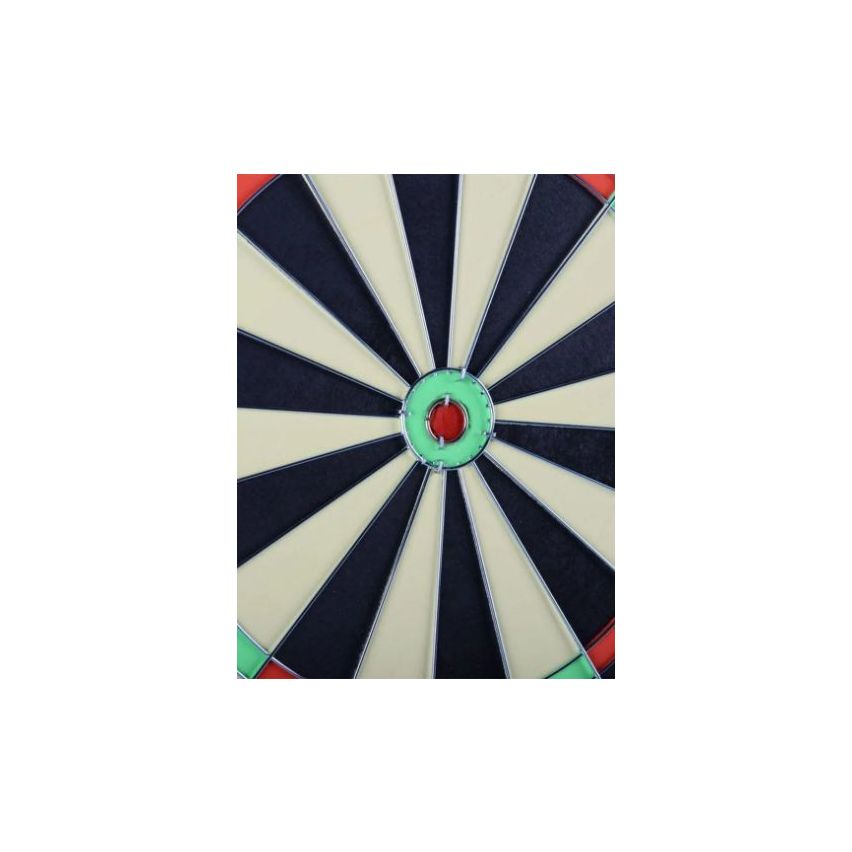 WinMax Family Dart Game