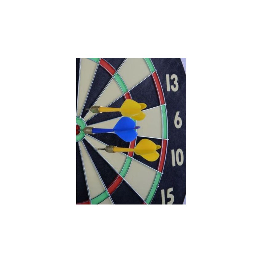 WinMax Family Dart Game