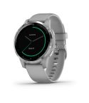 Garmin Vívoactive 4s 40mm Powder Grey With Silver Hardware