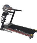 Skyland EM-1238 Treadmill with Blue Tooth