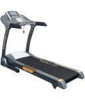 Skyland Motorized Treadmill with 20 Section Auto Incline and Build-in Fan- EM-1273