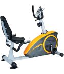 Skyland Magnetic Recumbent Bike