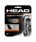 Head Perfect Power Squash Tennis Strings