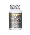 Natural Fervor Megaton Silver Super Multivitamin 100 Tablets 