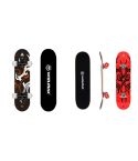 WinMax Skateboard for Beginner and Adults, 9 Ply Maple Deck, 31 x 8 Inch Etnic