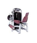 Marshal Fitness Seated Leg Extension Trainer